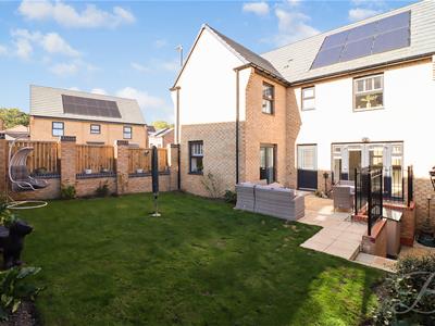Picture 27